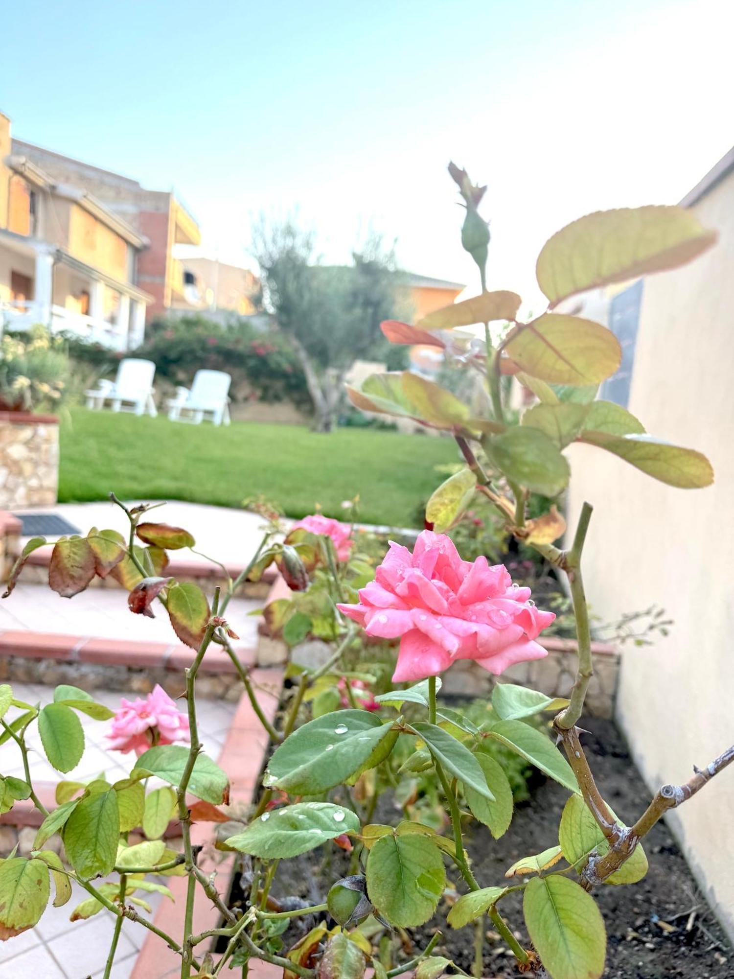 Rosa'S House - Zona Ospedaliera Daire Cagliari Dış mekan fotoğraf