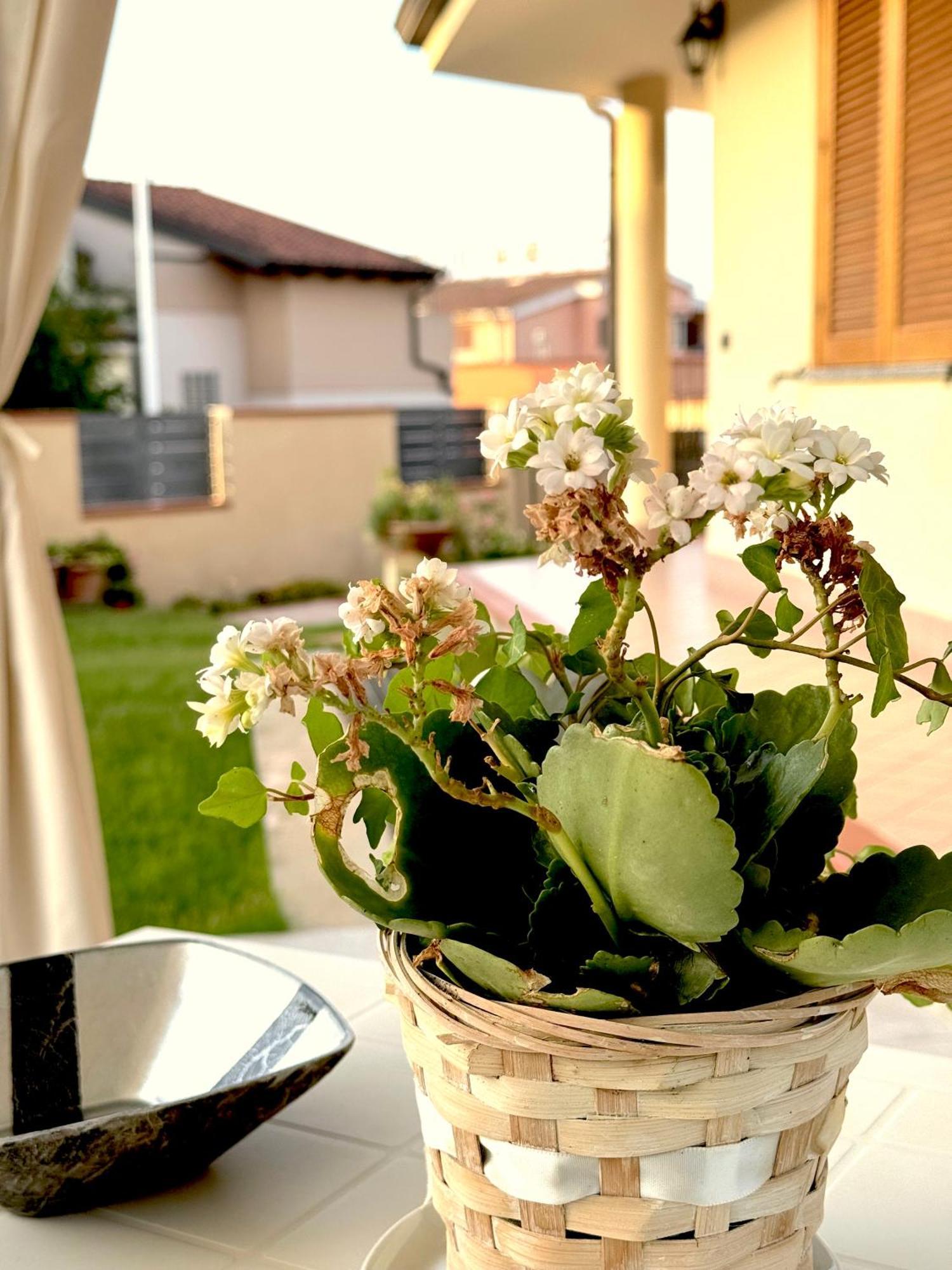 Rosa'S House - Zona Ospedaliera Daire Cagliari Dış mekan fotoğraf